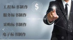 标书代写，[双板标书]\一对一团队服务 