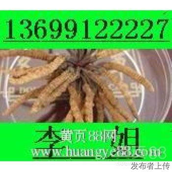 13699122227乌鲁木齐收冬虫夏草东阿阿胶片仔癀安宫牛黄丸海参燕窝