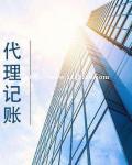 代理记账
