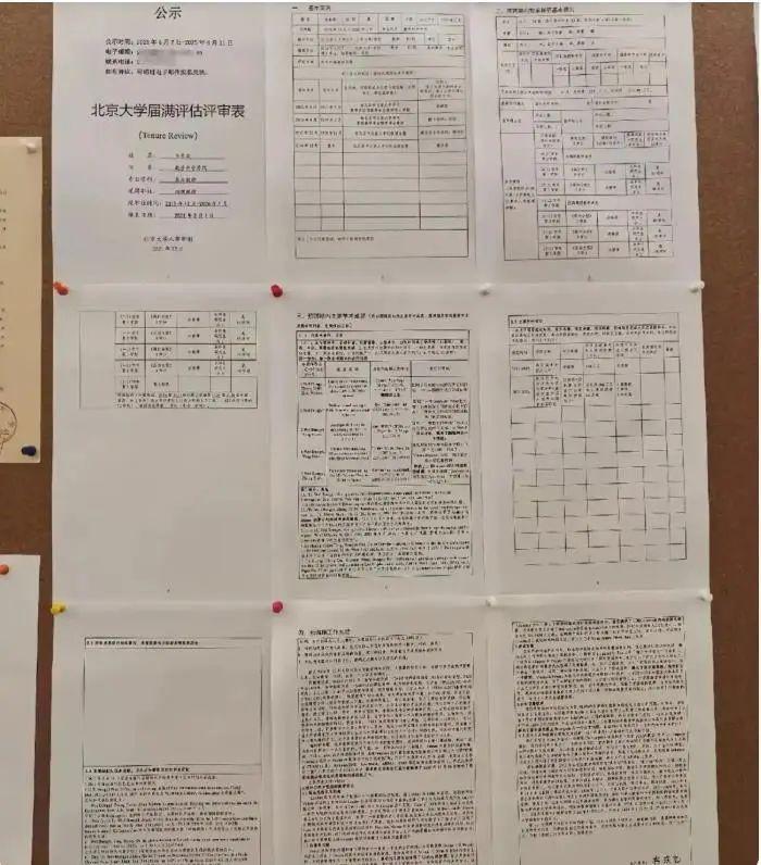 韦东奕晋升长聘副教授？北大回应