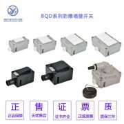 BQM-10A/IIS双联暗装防爆墙壁开关