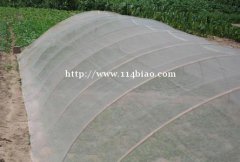 全新料大宽幅防虫网供应阳江辣椒种植防霜保温60目加密纱网