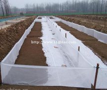 加密加厚60目全新料龙岩牛蛙围网1.2米宽厂家直发