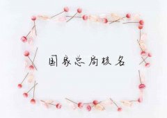 办理无地区的工商总局公司名称需要多少费用