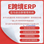 邦耀科技E跨境系统优势有什么