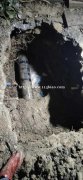 佛山埋地管漏水检测、消防管漏水检测准确定漏点