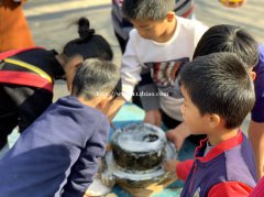 坪山附近春节带上孩子一日游踏青好地方九龙农家乐
