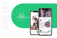 为什么要开发宠物APP
