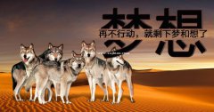 2021江苏五年制转本：南师范中北学院专业考纲