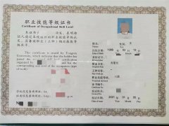 人社部三方鉴定职业资格  含金量最高的普工  报名就到鸿程教