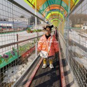 抗低温滑雪场上山输送带 黑龙江自动感应雪场电梯