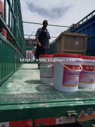 专业供应治沙灵墙面掉沙起沙修复材料