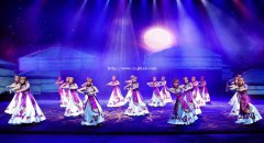 活动策划 灯光音响 乐队演出 舞狮演出 主持杂技