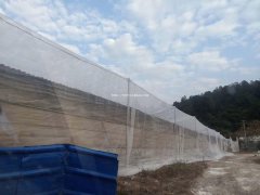 生态养猪防蚊纱网透气不滑丝40目加厚防虫网厂家直销