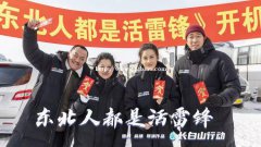 电影东北人都是活雷锋，个人参与有哪些风险和优势