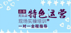拼多多店群运营培训加盟，