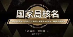 代理申请国家局公司核名业务的大概费用