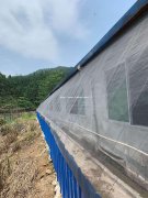 快递直发岱山防虫网大棚猪场通风防虫网40目耐用