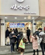 娃哈哈不忘初心，创娃哈哈奶茶，延续童年陪你继续成长