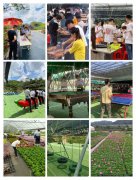 深圳盛夏出游好去处九龙农家乐休闲拓展一日游