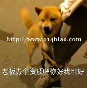 电子系统工程设计专业乙级资质代理申报