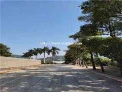 深圳凤凰山适合亲子游户外野炊烧烤的农家乐