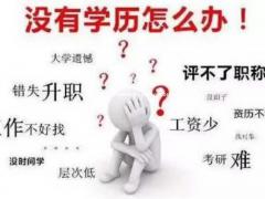 报名五年制专转本考试有什么要求吗？智博专转本怎么样