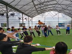 深圳松岗周边适合公司团建活动的农家乐哪里好