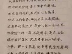 孙维喜钢笔字十天速成班
