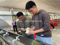 深圳南山周边可以做团建活动的农家乐