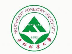 东北林业大学自考本科软件工程专业课程简单好毕业易拿学位