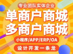 商城系统开发，商城系统搭建开发实体公司