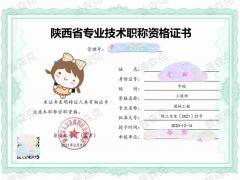 陕西省2021年工程师职称代理的申报步骤