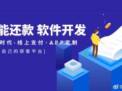 养卡怎么养？代还系统开发，专为中介养卡