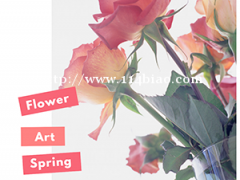 南通智达教育花艺插花花盒手捧花