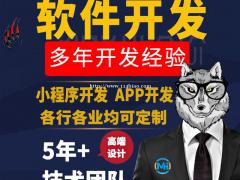 成品软件开发安卓iOS应用类APP开发原生/框架APP定制一
