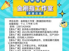 2021年必做互联网蓝海项目 AI智能金刚指系统工作室已成创