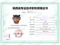 有关2021年陕西省西安市工程师职称代理的条件