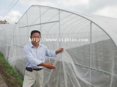 大棚豆虫网养殖40目专用豆丹防虫网纯新料定做