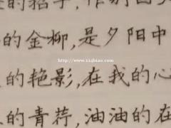 孙维喜钢笔字、铅笔字速成班，和别的速成班