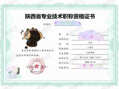 分析2O21年陕西省工程师申报过程