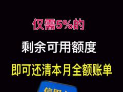 提供智能代还软件中介代还系统快捷支付空卡支付