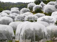全新料平织防虫网3米宽网罩定制透光质轻防老化