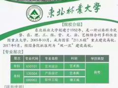 东北林业大学自考专本科连读报考艺术设计专业学制短好考