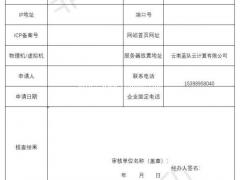 云南药企互联网服务器情况核查表怎么填写
