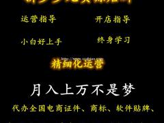 山东并上拼店群软件，小象采集上货拍单管理软件加盟