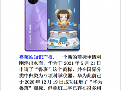 嘉莱皓知识产权，一个新的商标申请刚刚浮出水面