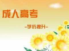2021年成人高考报考流程以及准备资料 成人高考各个省份的考