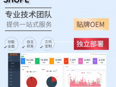 跨境电商亚马逊erp软件数据服务器私有化虾皮店群