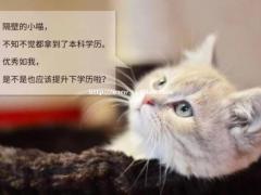 第一次报成人高考需要准备些什么？